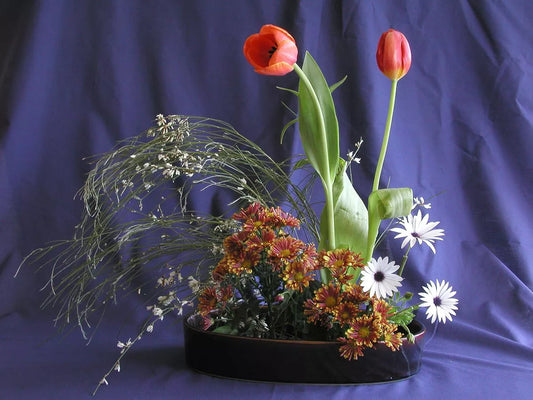 Ikebana estilo Moribana, arreglo floral japonés con tulipanes rojos, margaritas blancas y rojizas y otras plantas y hojas