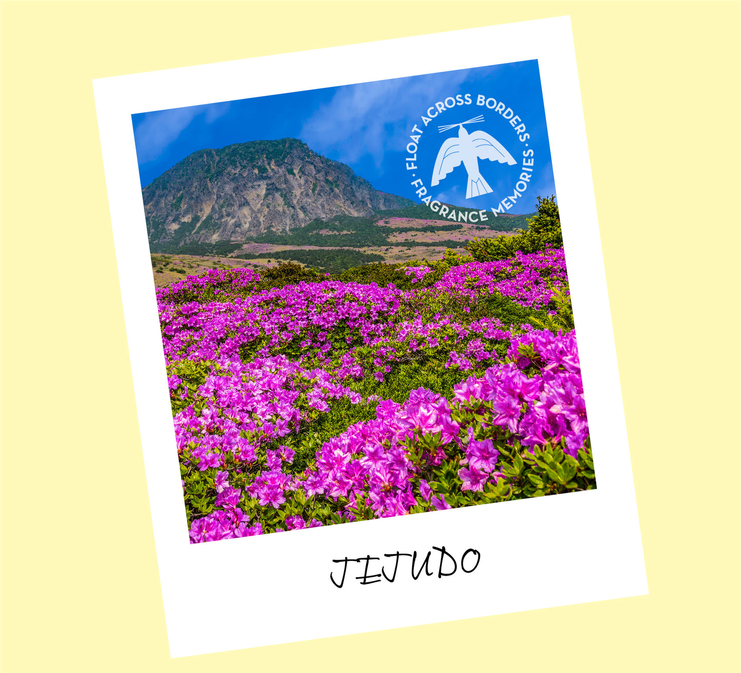 Fragrance Memories Incense - Jejudo Field