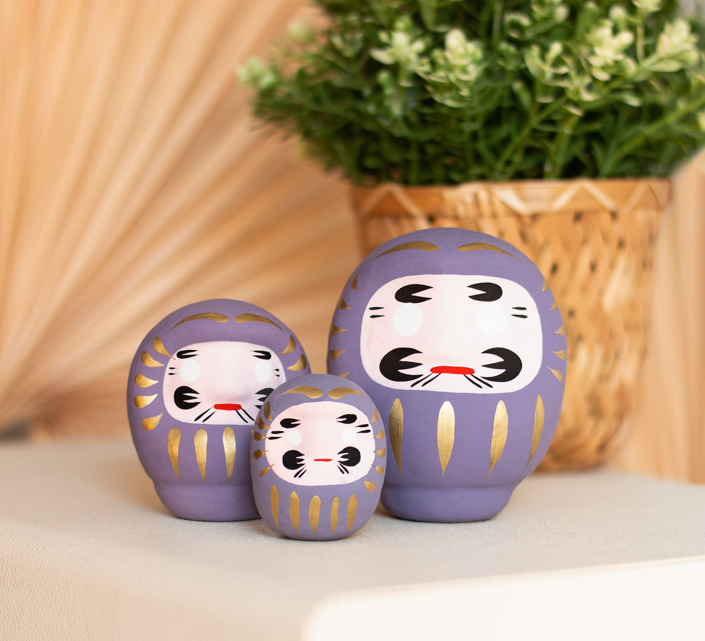 Viola Daruma - Longevità, Medio
