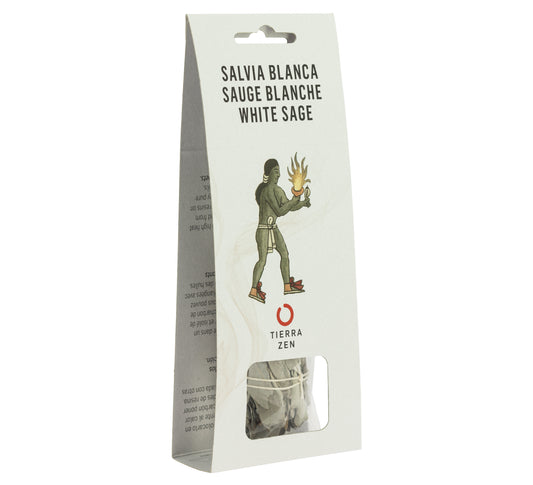 Sauge Blanche de Californie (8-10 cm) - Sachet