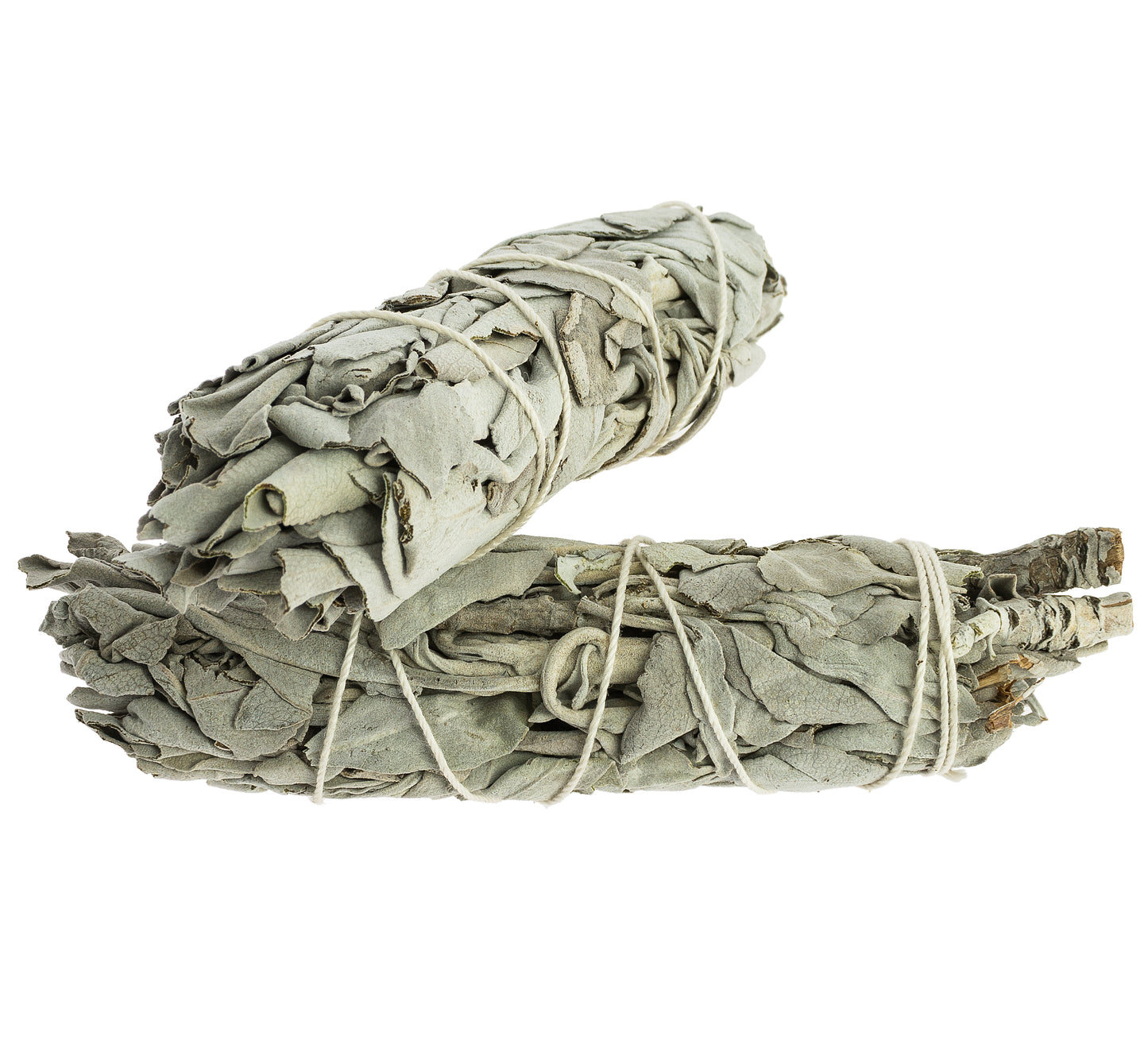California White Sage Smudging Bundle, 8-10 cm