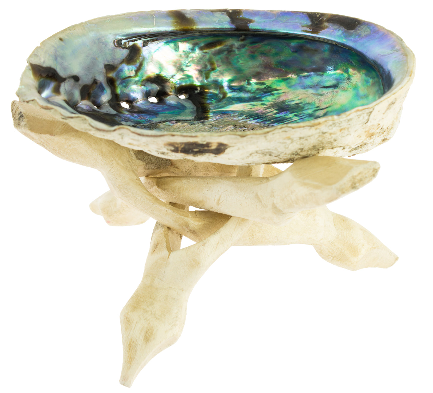 Tripé para concha de Abalone