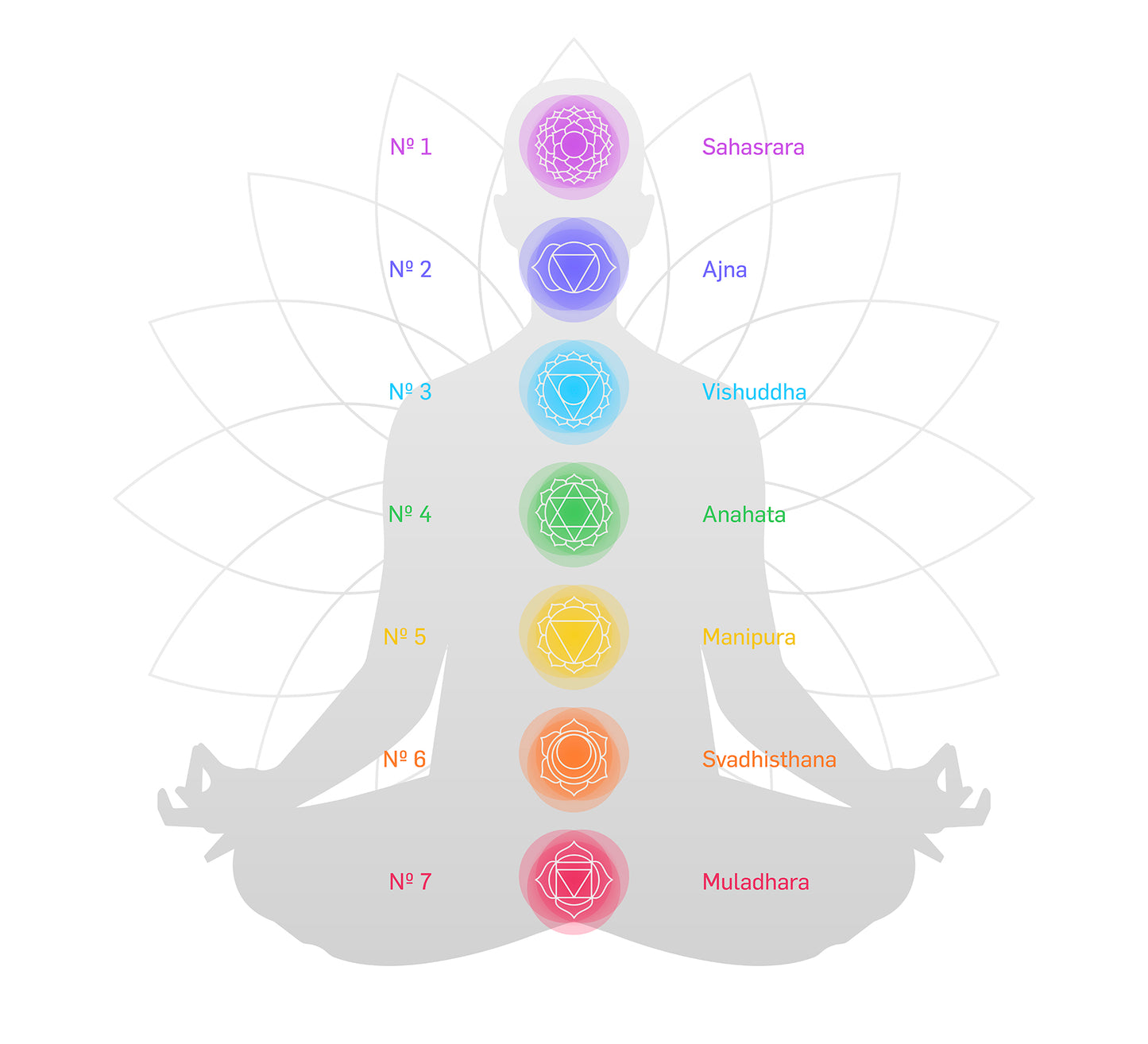 Salvia Blanca 7 Chakras