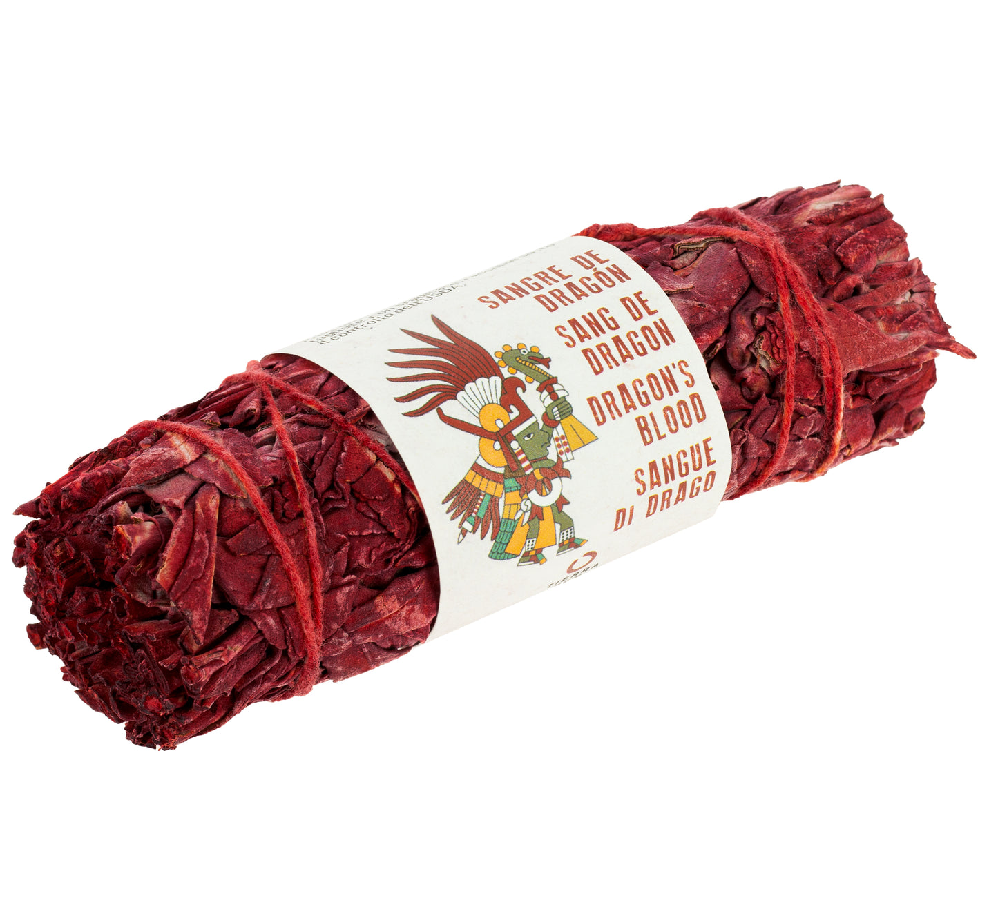 Sálvia Sangue de Dragão Vermelho
