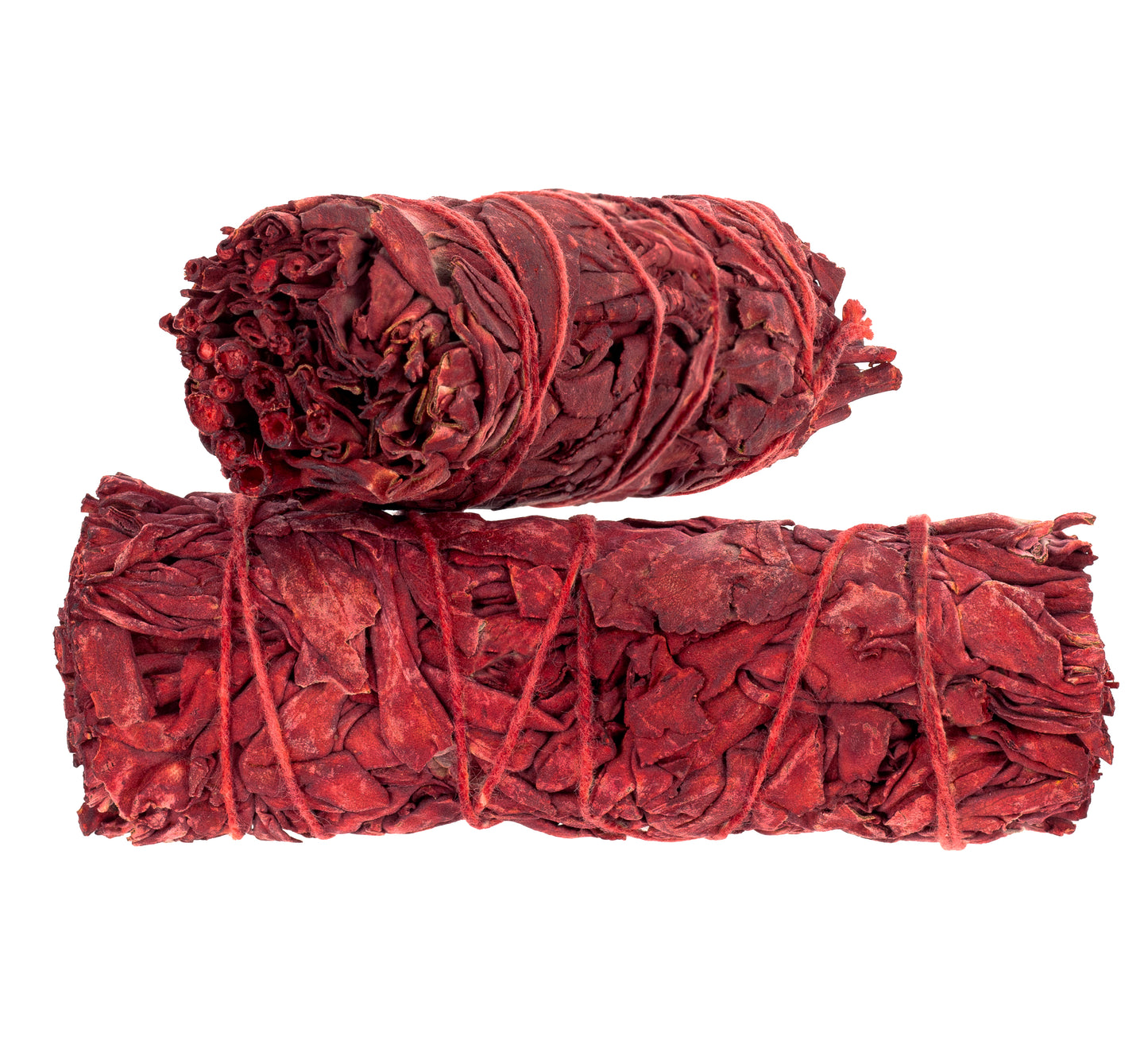 Sálvia Sangue de Dragão Vermelho