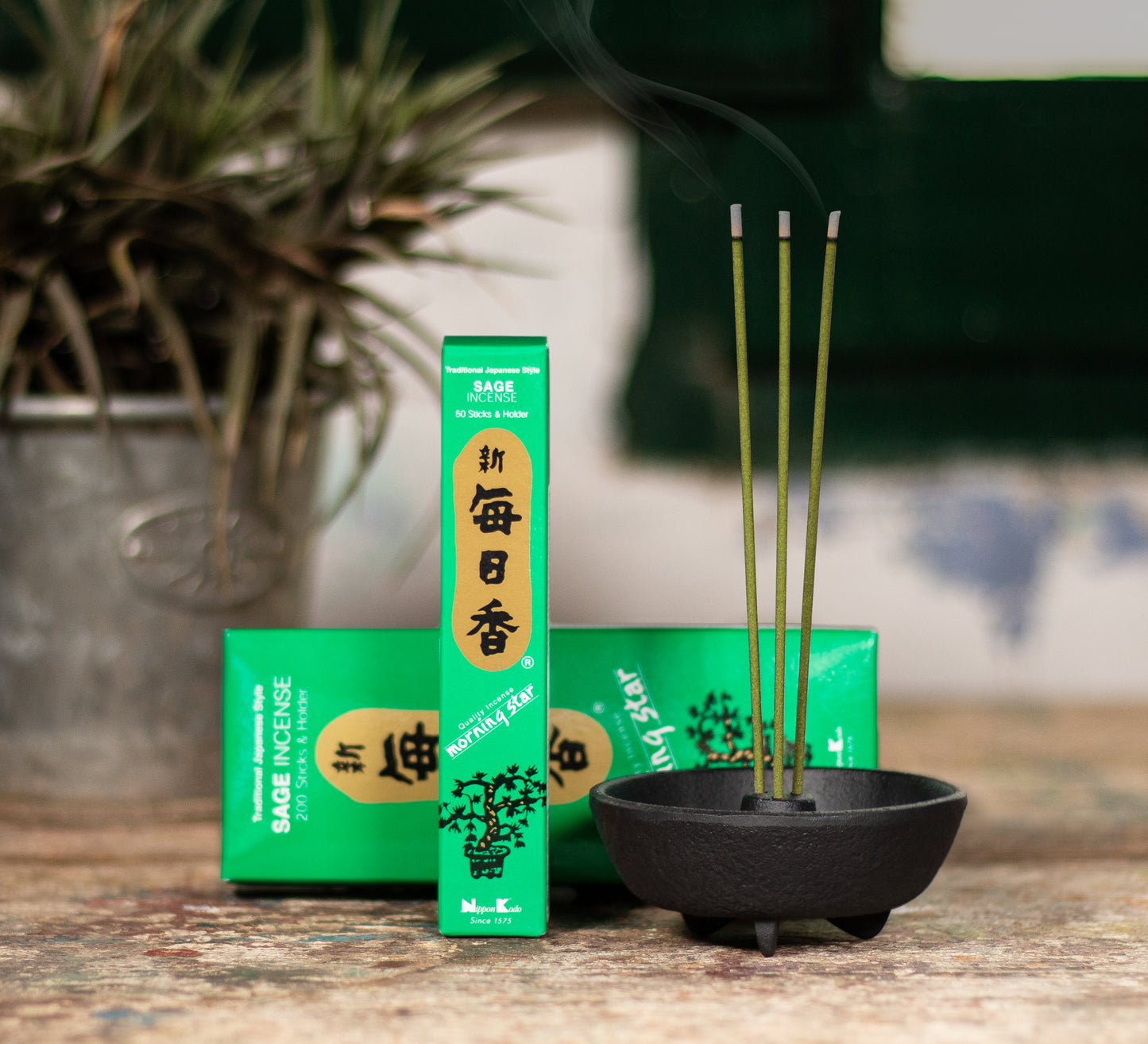 Incienso Morning Star Salvia 50 barritas