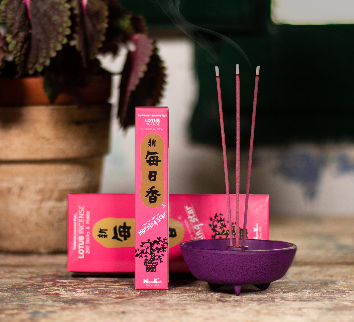 Iwachu Incense Burner - Purple Fountain