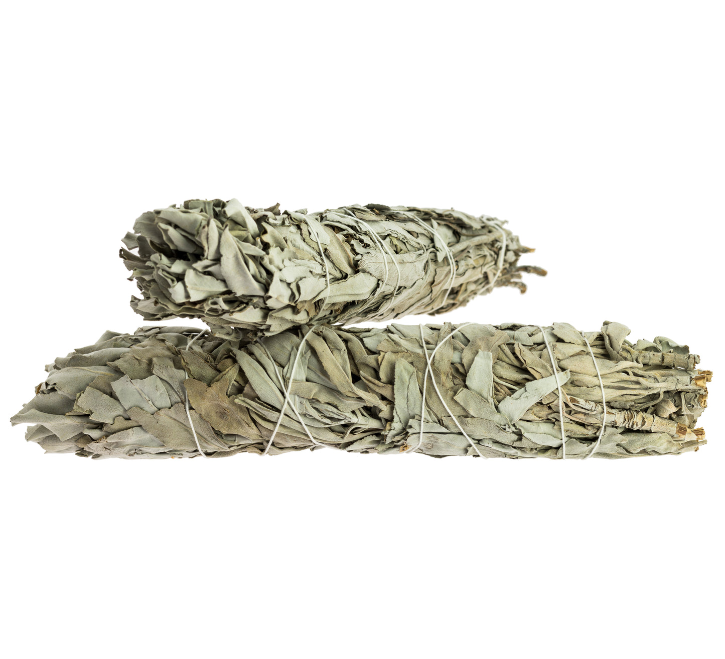 California White Sage Smudging Bundle, 22-25 cm