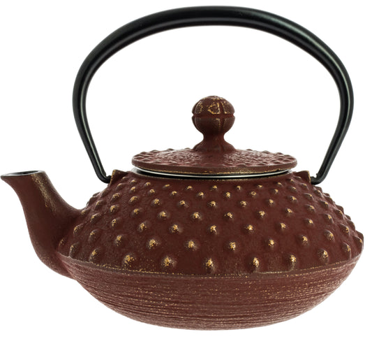 Kanbin Iwachu Teapot - Gold Brown, 320 ml