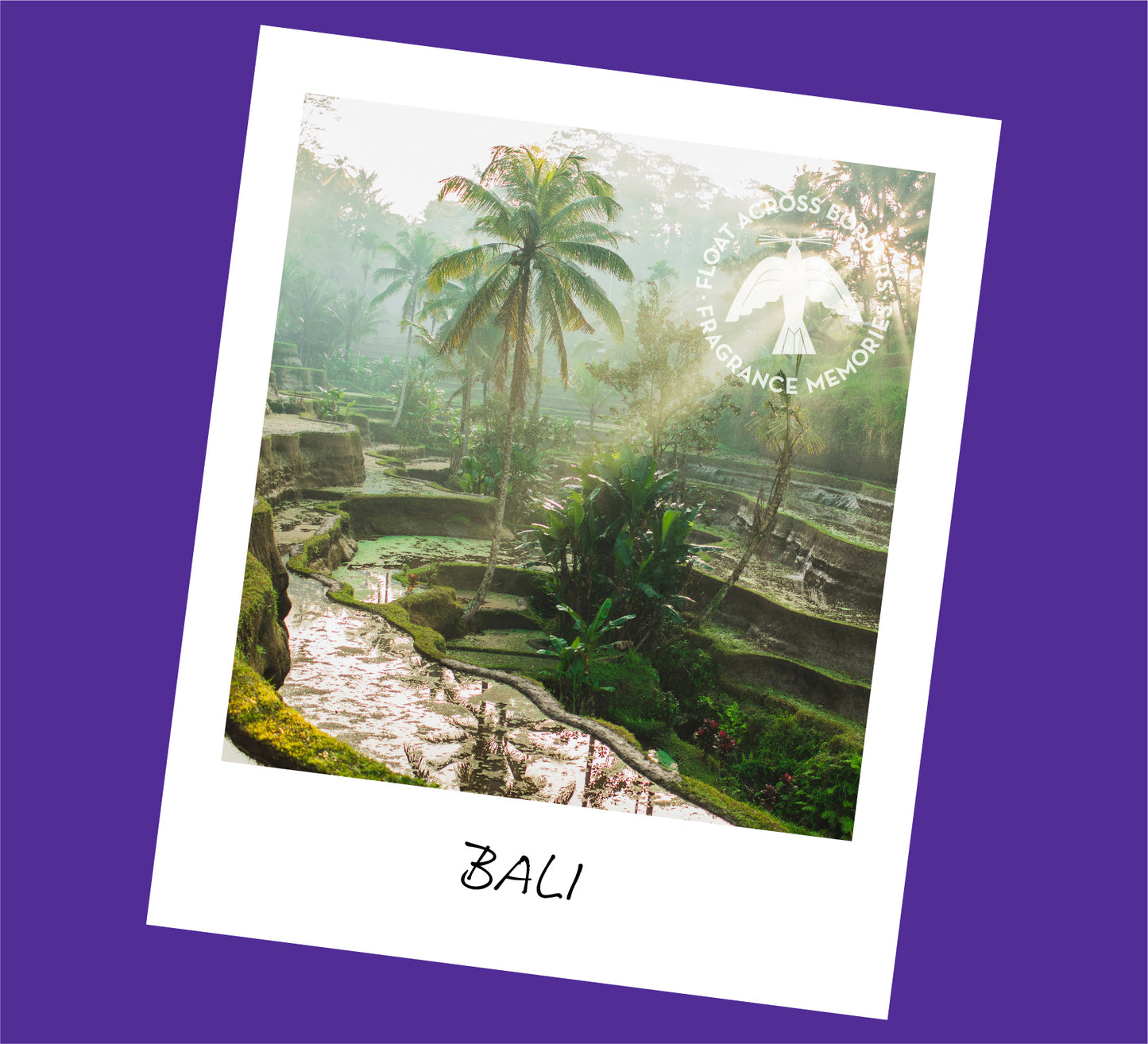 Fragrance Memories Incense - Bali Rain