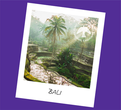 Fragrance Memories Incense - Bali Rain
