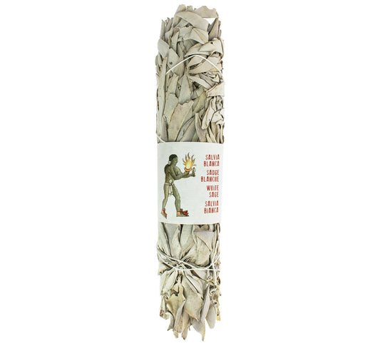 California White Sage Smudging Bundle, 22-25 cm