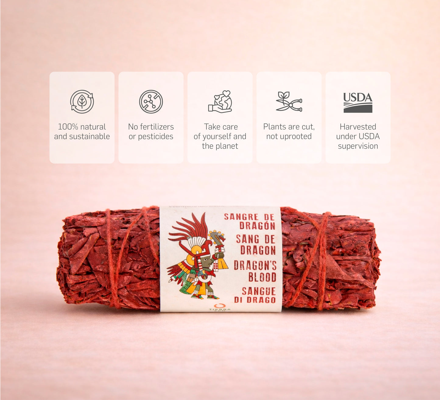 Salvia Sangue di Drago Rosso