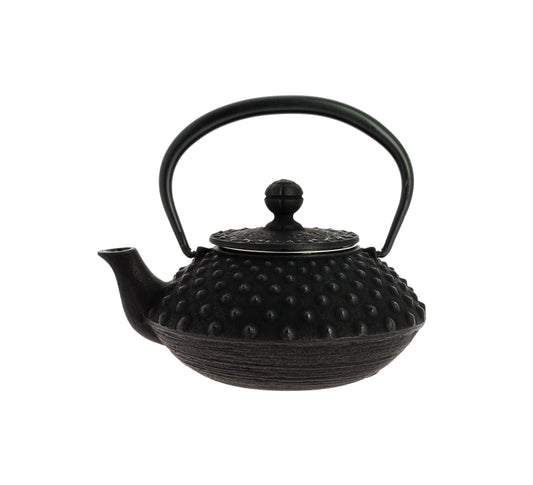 Kanbin Iwachu Teapot - Black, 350 ml
