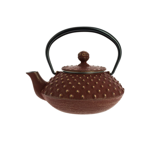Kanbin Iwachu Teapot - Gold Brown, 350 ml