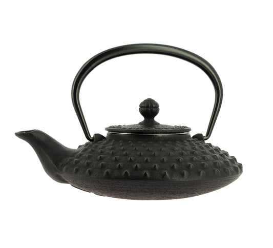 Kanbin Iwachu Teapot - Black, 500 ml