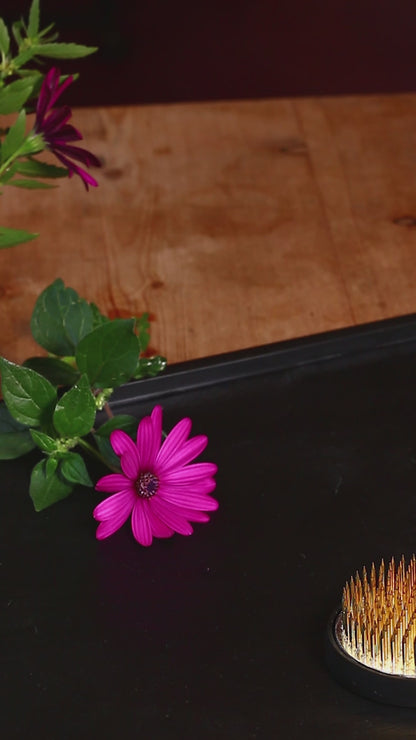 Kenzan Straightener and Cleaner for Ikebana