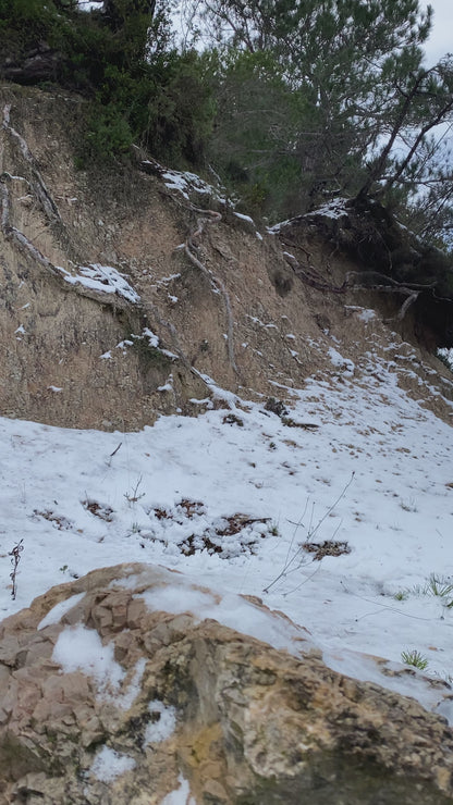 7 Jahreszeiten Daruma - Winter, 14 cm