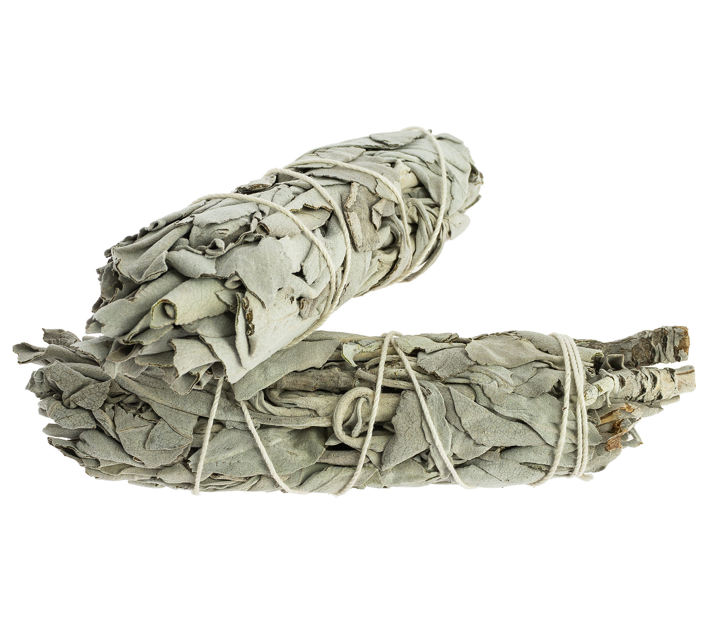 California White Sage Smudging Bundle, 8-10 cm