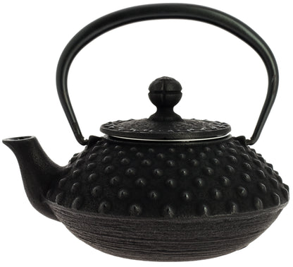 Kanbin Iwachu Teapot - Black, 350 ml