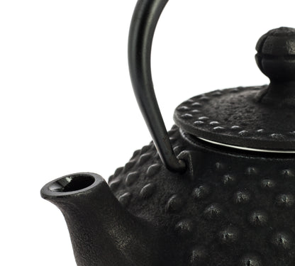 Kanbin Iwachu Teapot - Black, 350 ml