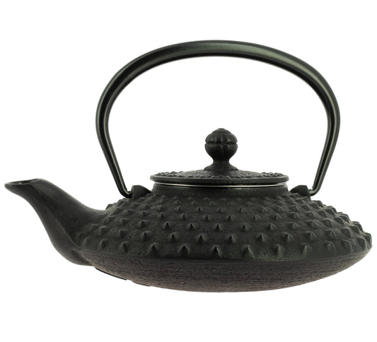 Kanbin Iwachu Teapot - Black, 500 ml