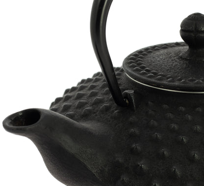 Kanbin Iwachu Teapot - Black, 500 ml